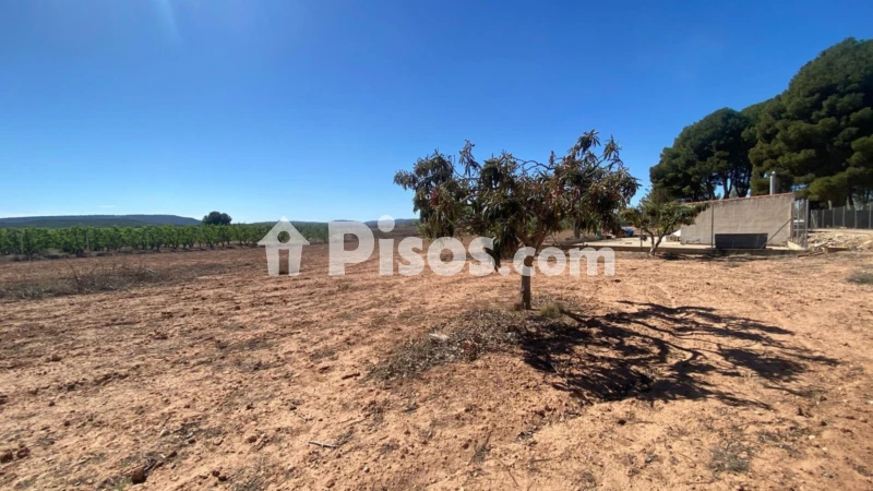 Terreno en venta en Hellín