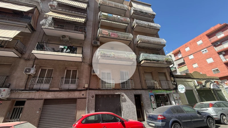 Pis – Elx - Elche