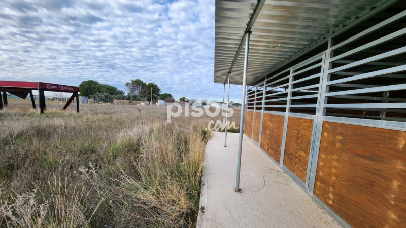 Finca rústica en venta en Polígono Alcantar, Fuente el Saz de Jarama de 75.000 €