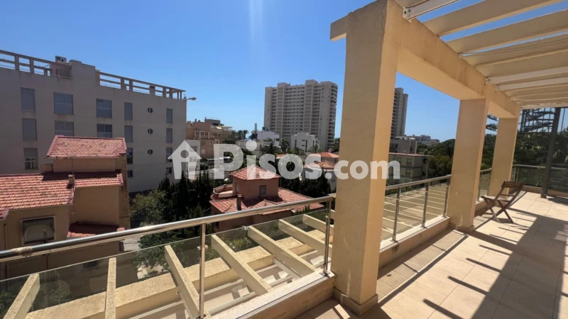 Pis – el Campello, Platja de Mutxavista