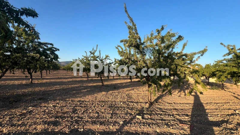 Terreno en venta en Castalla