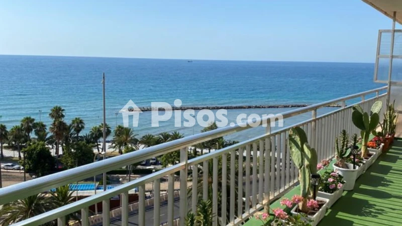 Piso – Alicante - Alacant