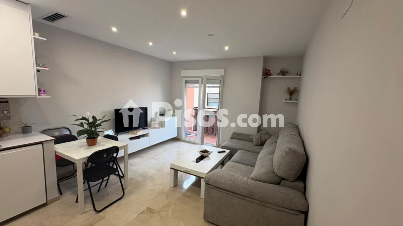 Pis – Elx - Elche