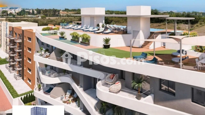 Pis – Torrevieja