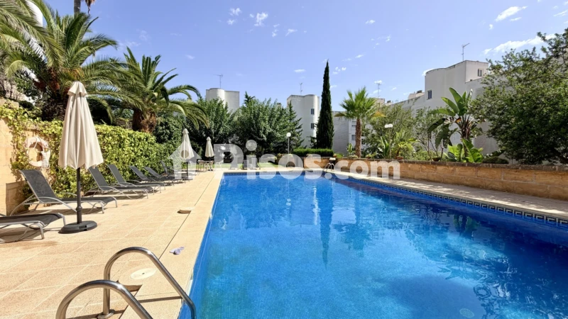 Fotografía del inmueble reportado: 2.400 €/mes — Baleares, Baleares