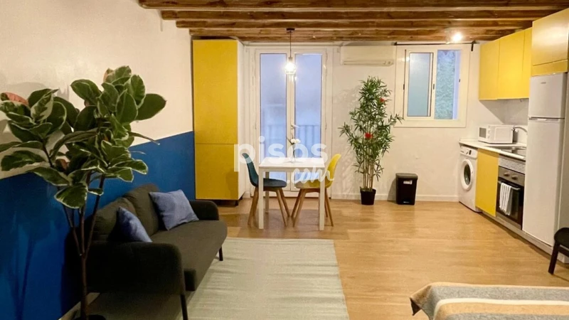 Estudio en alquiler en Carrer de Ferran, cerca de Carrer Quintana