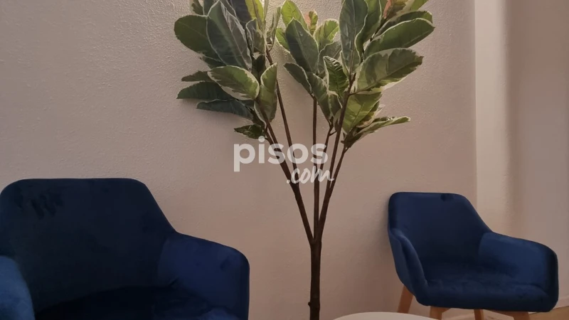 Piso en alquiler en Carrer de Ferran, cerca de Carrer Quintana