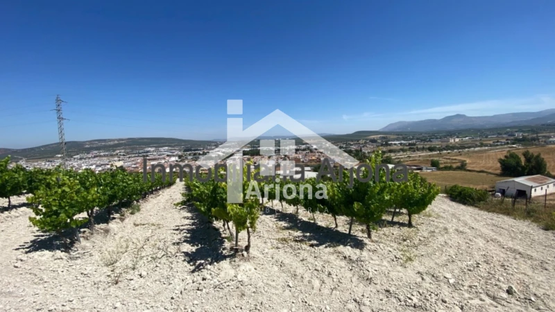 Casa - Vista 3