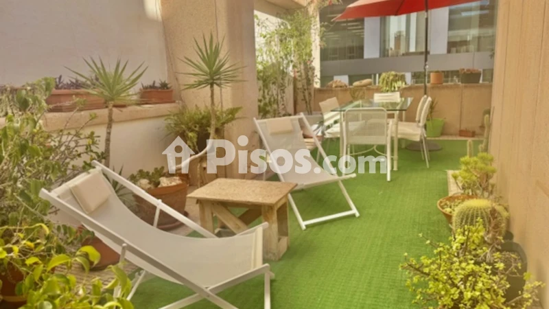 Pis – Alicante - Alacant