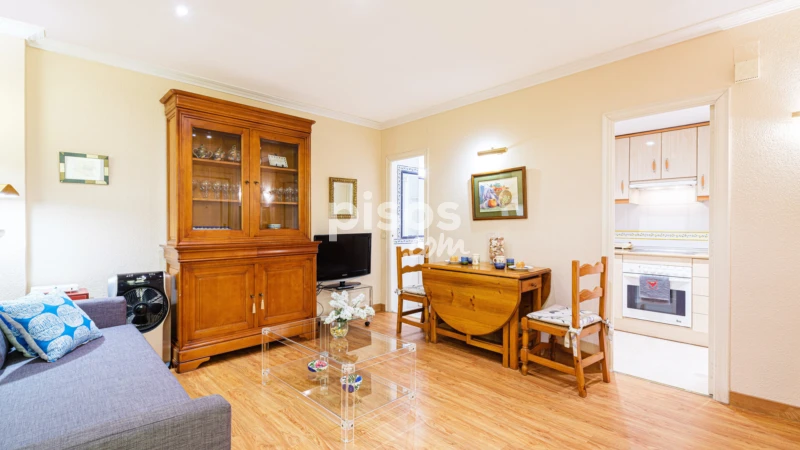 Piso en alquiler en Plaza del Conde del Valle de Suchil, 7