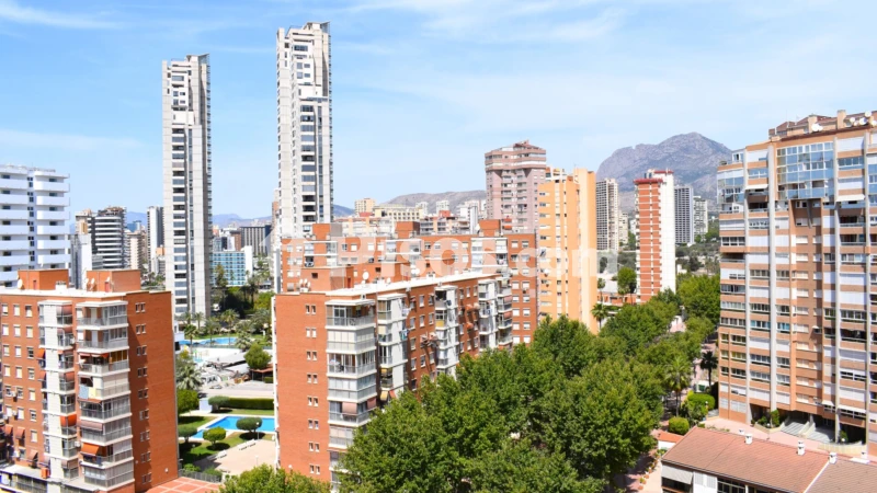 Pis – Benidorm