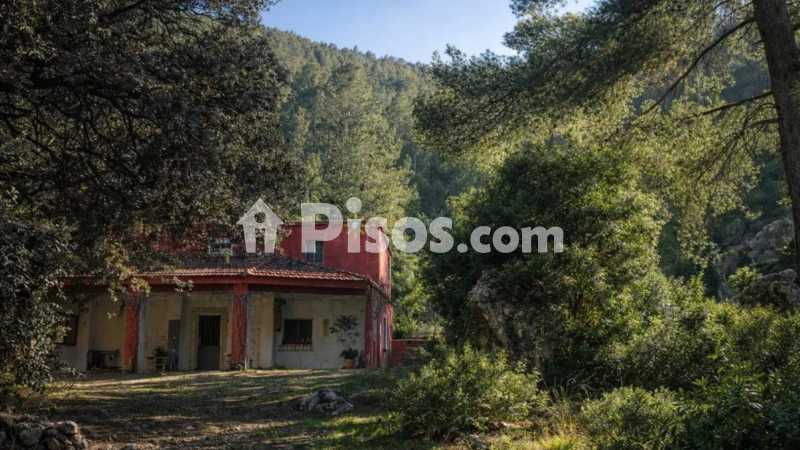 Piso – Muro de Alcoy, l'Alquerieta dels Capellans