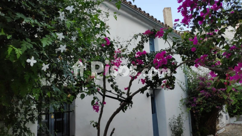 Casa unifamiliar en venta en Calle Corralete - Vista 3