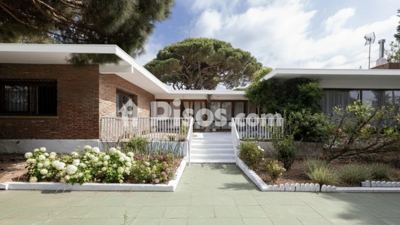 Casa unifamiliar en venta en Calle de la Palmera - Vista 3