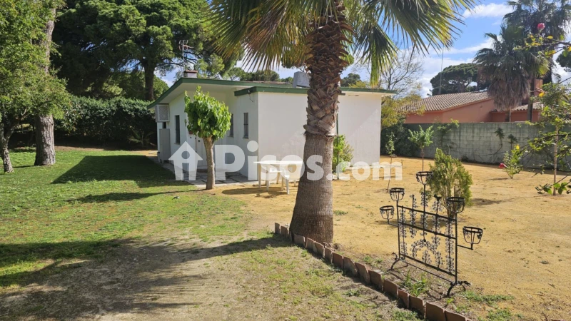 Fotografía del inmueble reportado: 1.000 €/mes — Cádiz, Cádiz