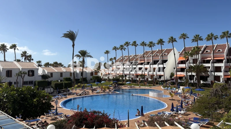 Fotografía del inmueble reportado: 1.000 €/mes — Tenerife, Tenerife