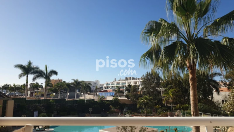 Piso en alquiler en Carretera Fañabé a la Caleta Tr A, Costa Adeje (Adeje) de 1.850 €<span>/mes</span>