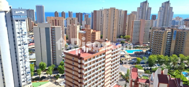 Pis – Benidorm