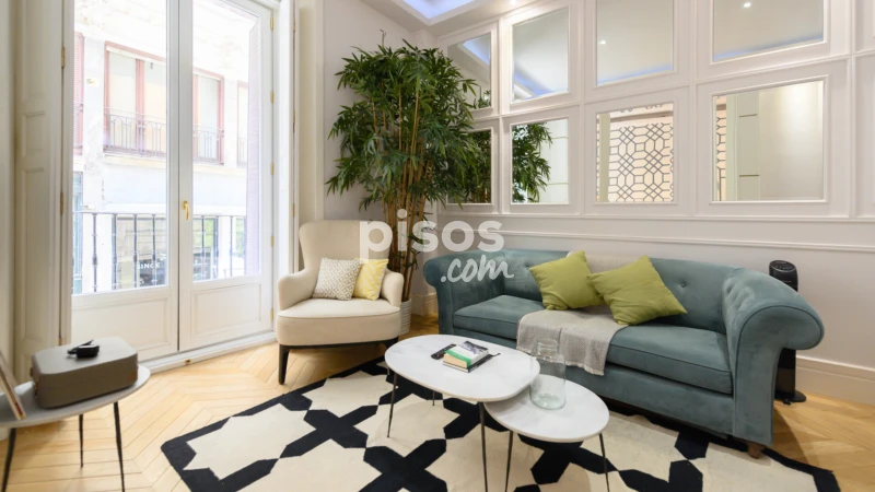 Apartamento en alquiler en Calle de la Reina