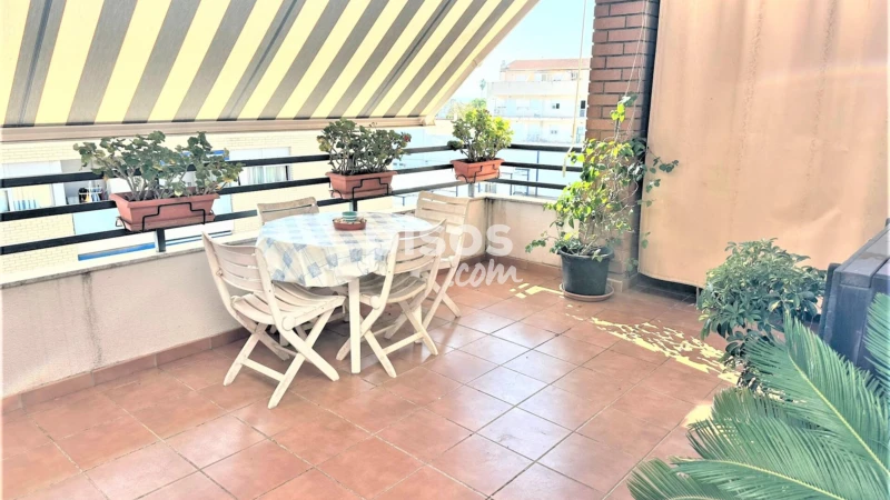Ático en alquiler en Carrer de Menorca, Papa Luna (Benicarló) de 430 €
