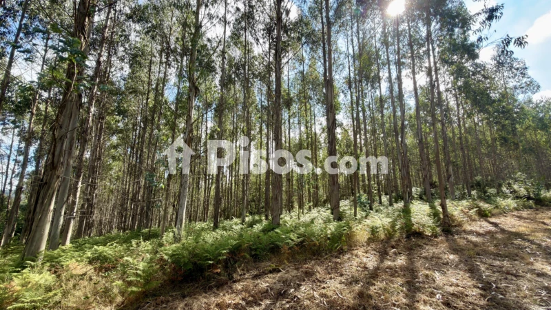 Terreno en venta en Vía Lugar Fieira