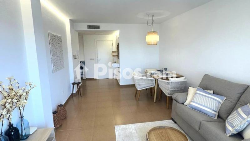 Pis – Torrevieja, el Baix Segura / La Vega Baja