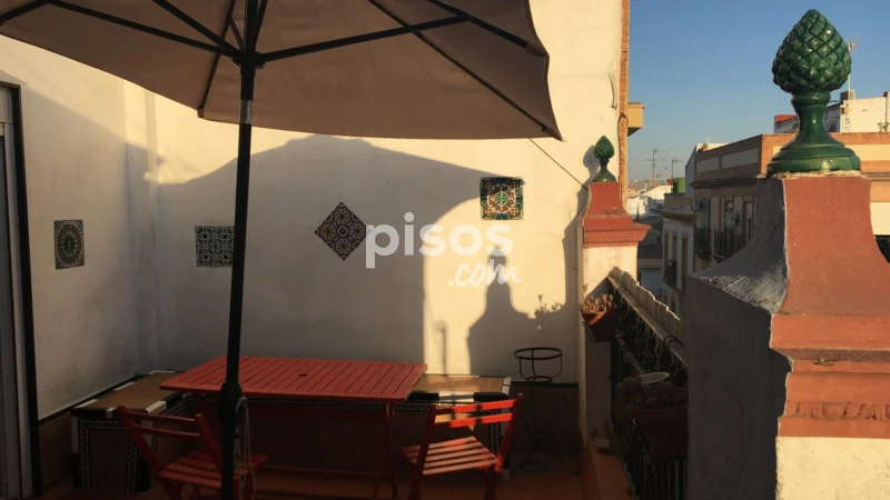 Ático en alquiler en Calle Antonio Susillo, San Gil (Distrito Casco Antiguo. Sevilla Capital) de 990 €