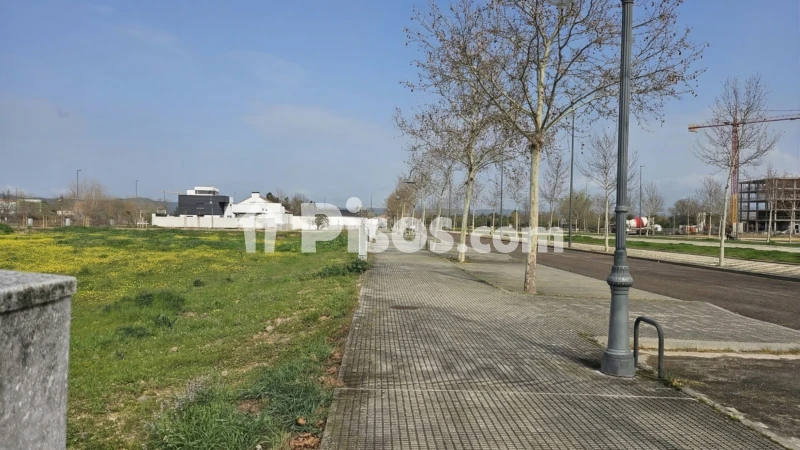 Parcela urbana en La Barrosa · fotografía 1