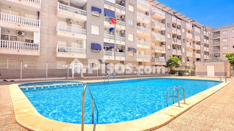 Pis – Torrevieja