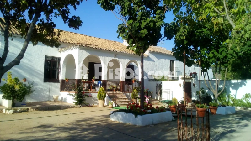 Chalet en alquiler en Lucena - Vista 3