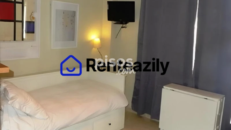 Estudio en alquiler en Calle de Miguel Ángel