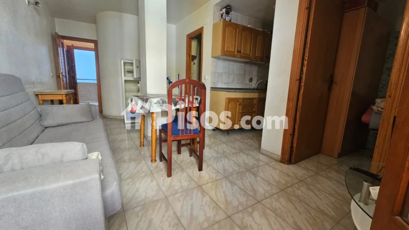 Pis – Torrevieja, El Palmeral