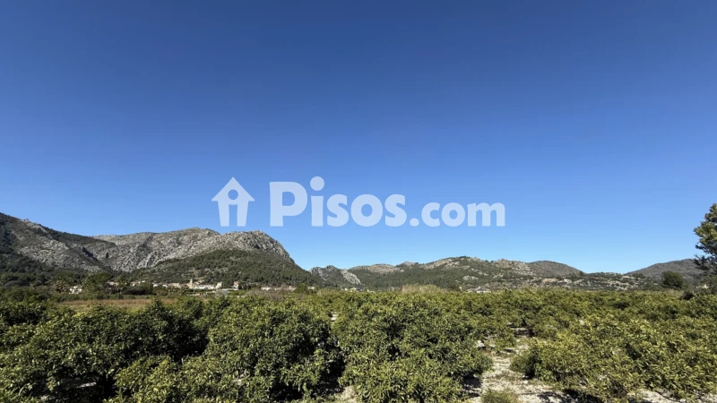 Terreno en venta en Tormos