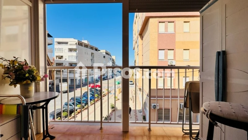 Pis – Torrevieja