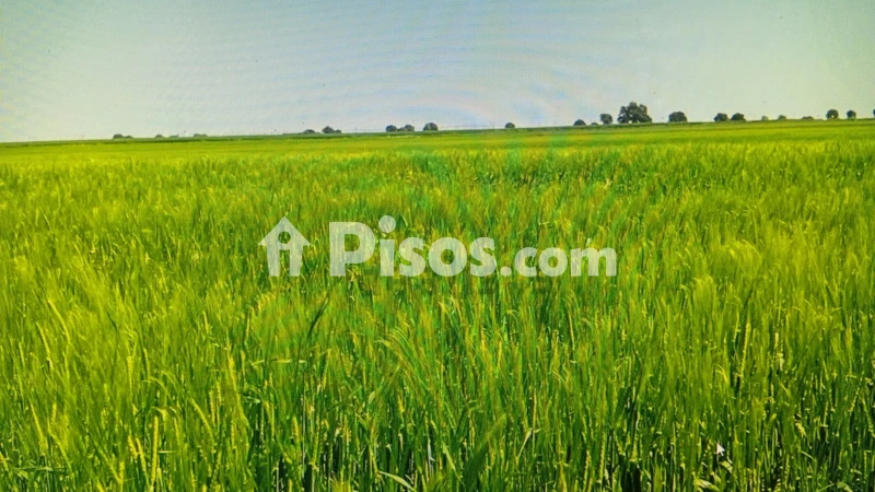 Terreno en venta en Calle Villarrobledo