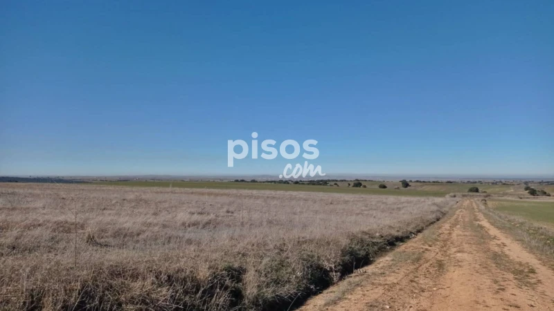 Land for sale in Finca 45, Adrada de Pirón of 18.000 €