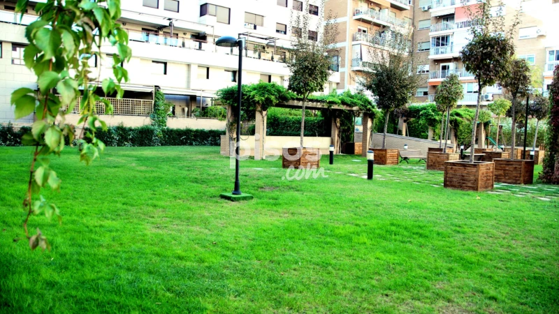 Piso en alquiler en Calle de Ponzano, 85, cerca de Calle de María de Guzmán