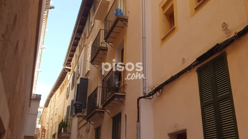Piso en alquiler en Cort, Cort (Distrito Centre. Palma de Mallorca) de 1.200 €<span>/mes</span>
