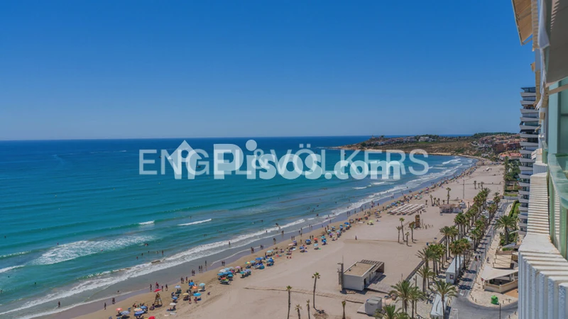 Fotografía del inmueble reportado: 2.300 €/mes — Alicante, Alicante