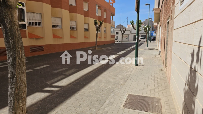 Pis – Pilar de la Horadada, Barrio Los Segundas