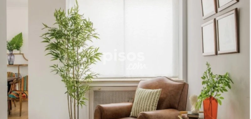 Piso en alquiler en Paseo de la Castellana, cerca de Calle de los Hermanos Pinzón