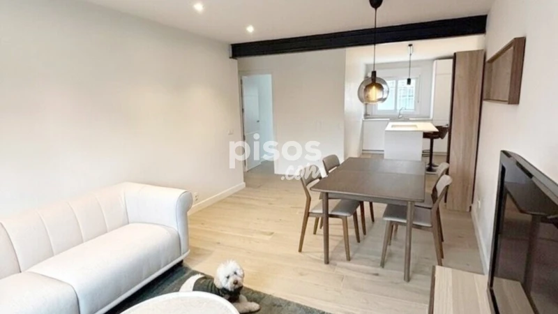 Apartamento en alquiler en Plaza del Duque de Pastrana