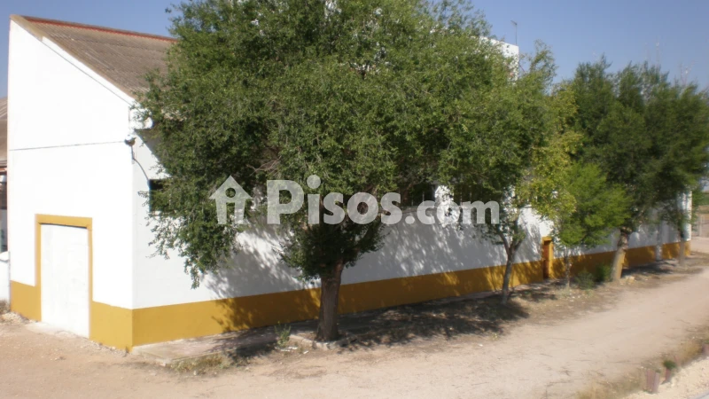 Piso - Vista 3