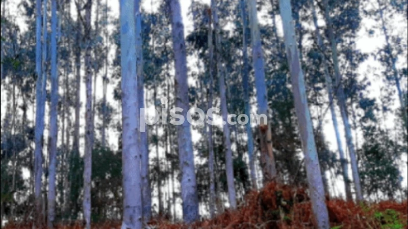 Terreno en venta en Calle de Pedra, Cariño de 16.000 €