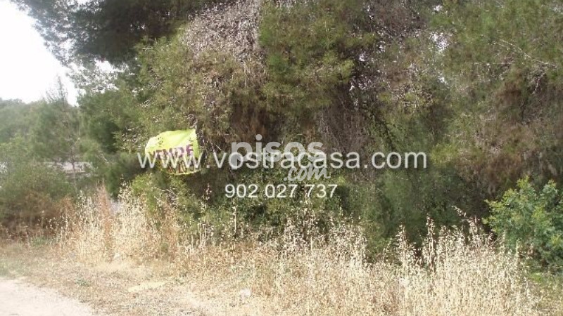 Land for sale in Entrepinos, Chiva of 15.000 €