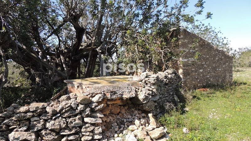 Rustic property for sale in Partida Alcores, Poble de Benicarló (Benicarló) of 35.000 €