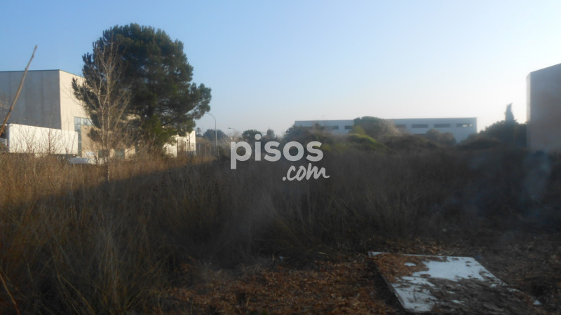 Land for rent in Carrer de Mallorca, Sant Quirze del Vallès of 6.000 €<span>/month</span>
