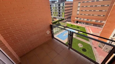 Miniatura 12