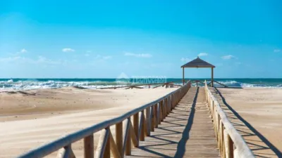 Apartment in Conil de la Frontera photo 11
