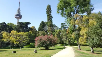 Apartment in Fuente del Berro photo 12